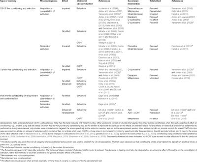 Retrieval-Extinction and Relapse Prevention: Rewriting Maladaptive Drug Memories?